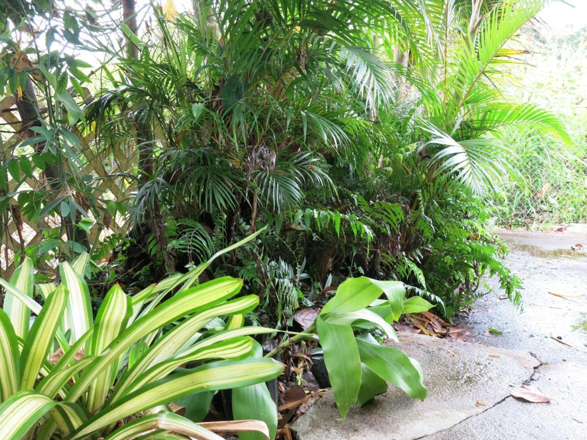 Pahoa Village Hostel Buitenkant foto